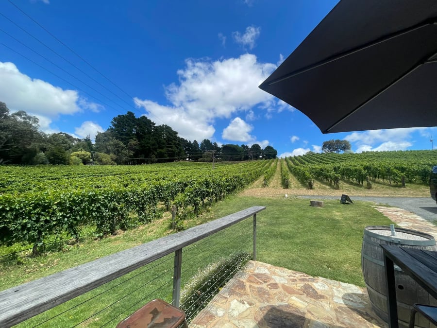 CRFT Wines – photo 5