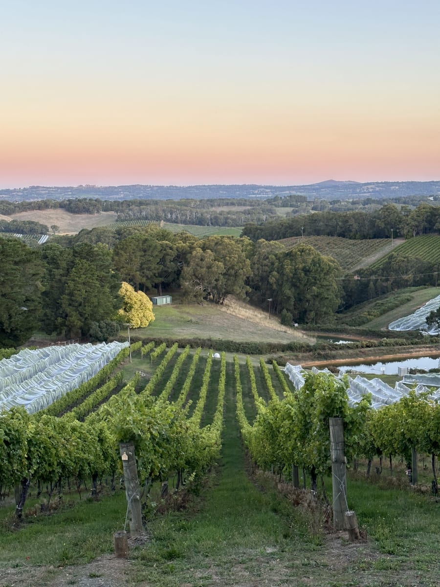 Pike & Joyce Wines – photo 3
