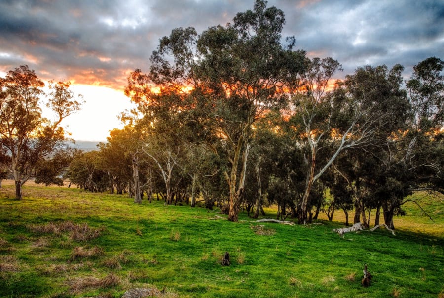 Mount Barker District Council – photo 5