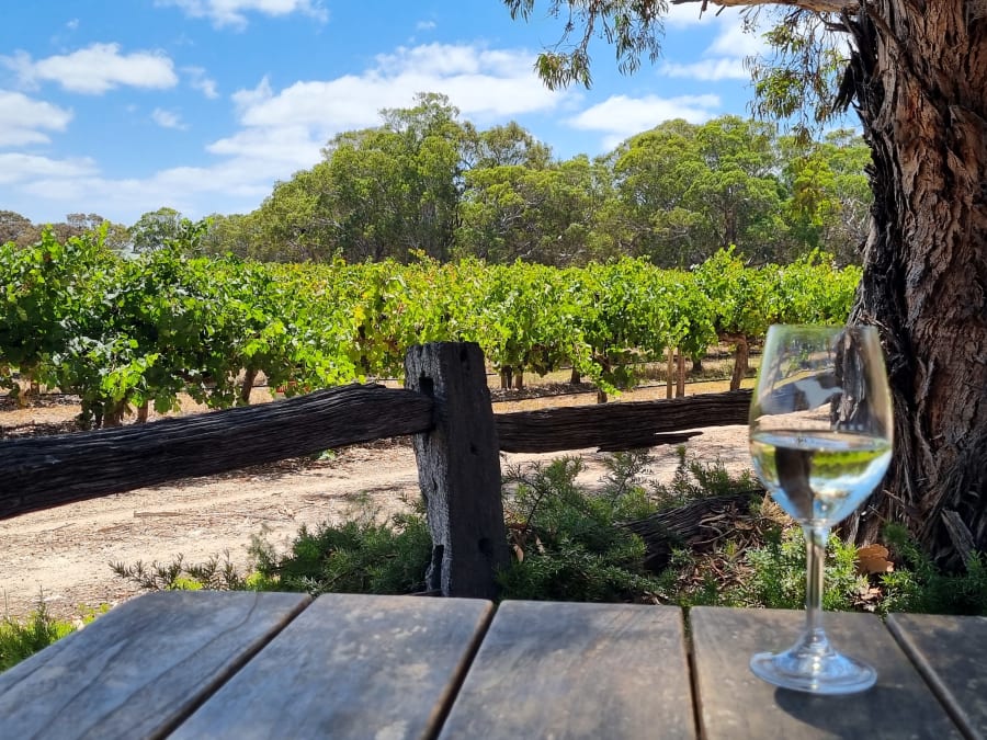 Lake Breeze Wines – photo 3