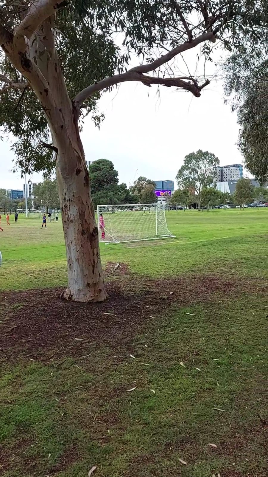 Ellis Park – photo 2