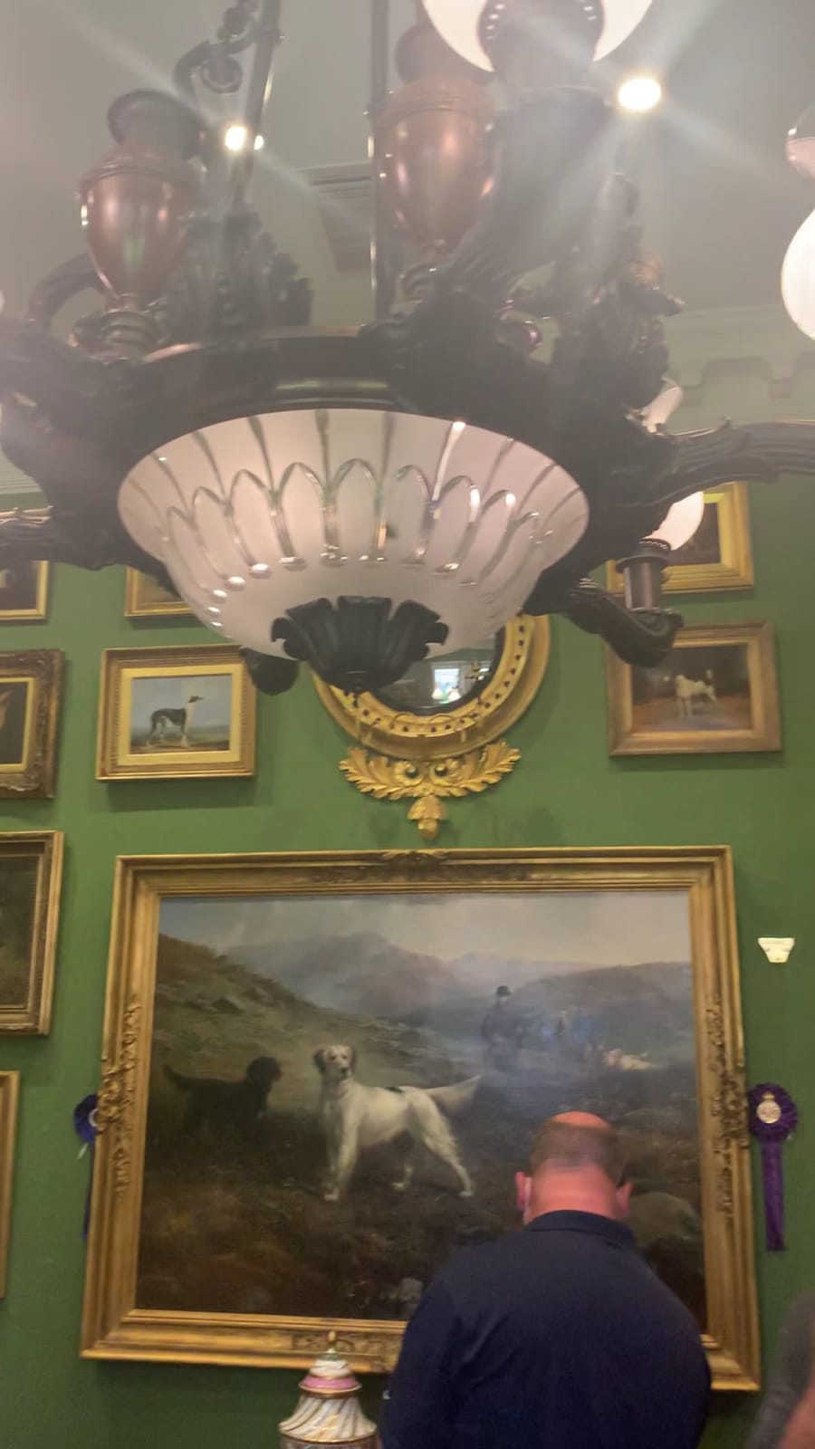 David Roche Gallery – photo 2