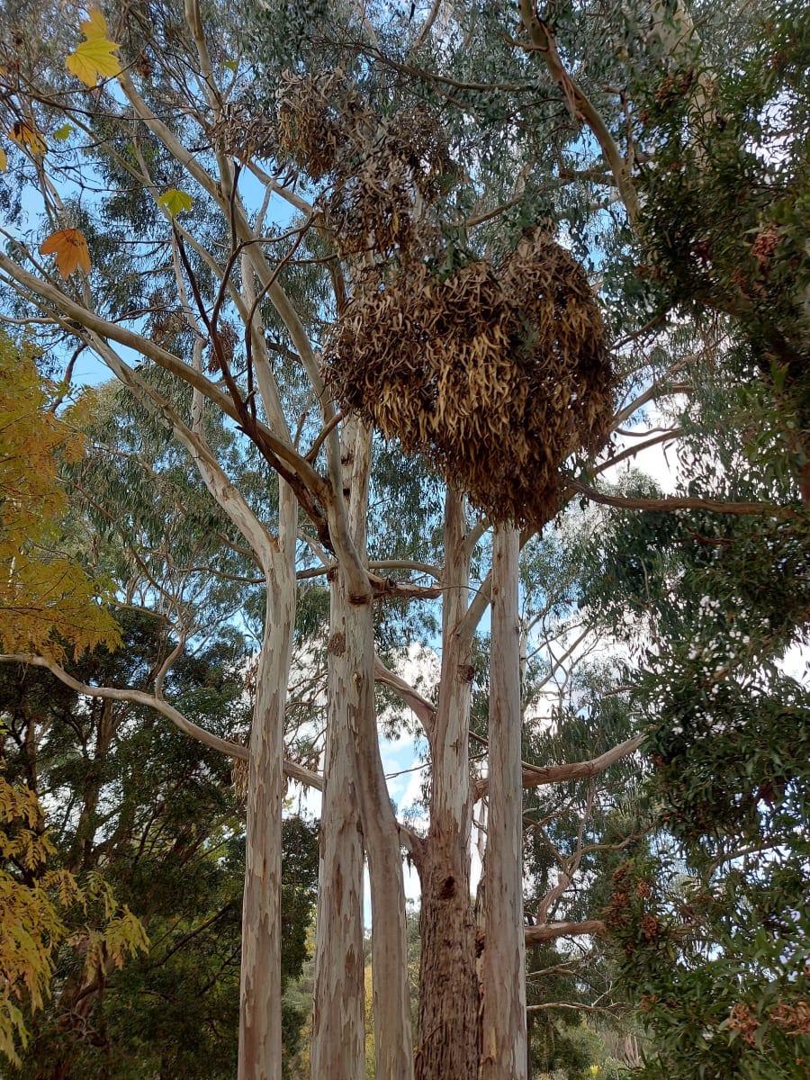 Mylor Oval – photo 3