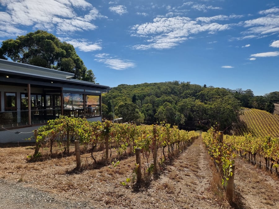 Mt Lofty Ranges Vineyard – photo 3