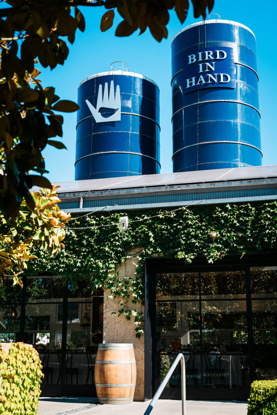 Bird in Hand Winery – photo 1