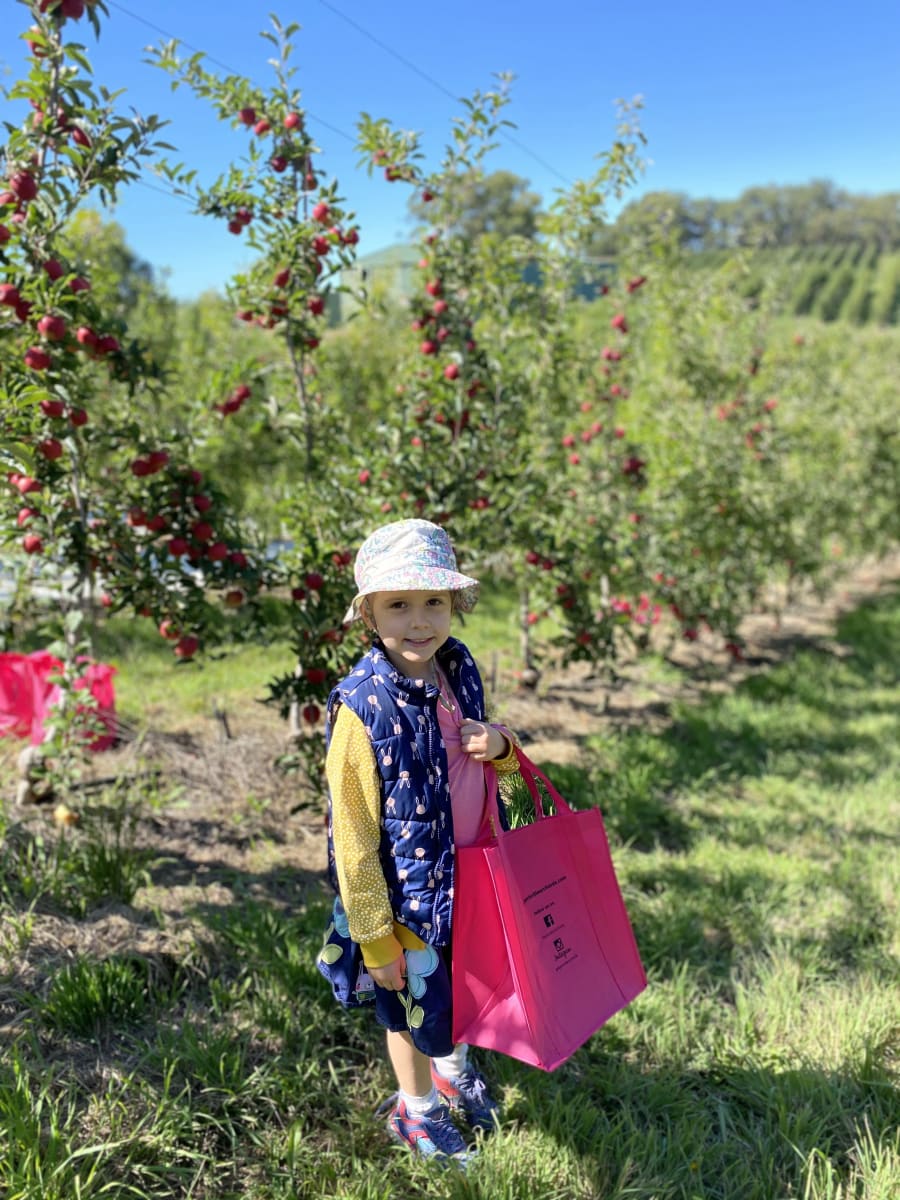 Harrisville Orchards – photo 5