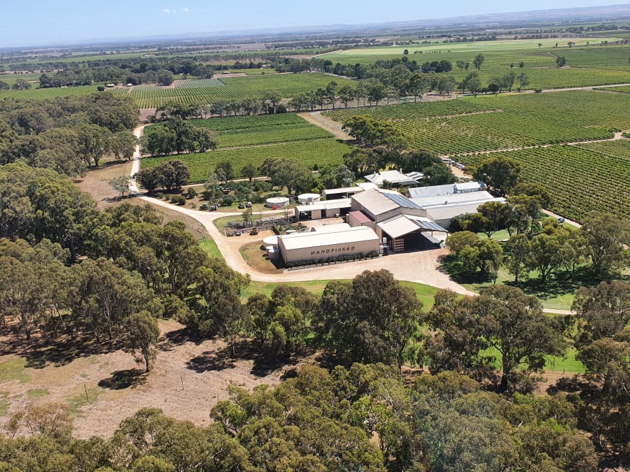 Lake Breeze Wines – photo 5
