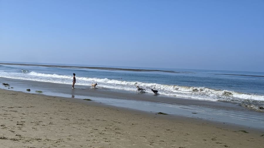 Mesa Lane Beach – photo 5