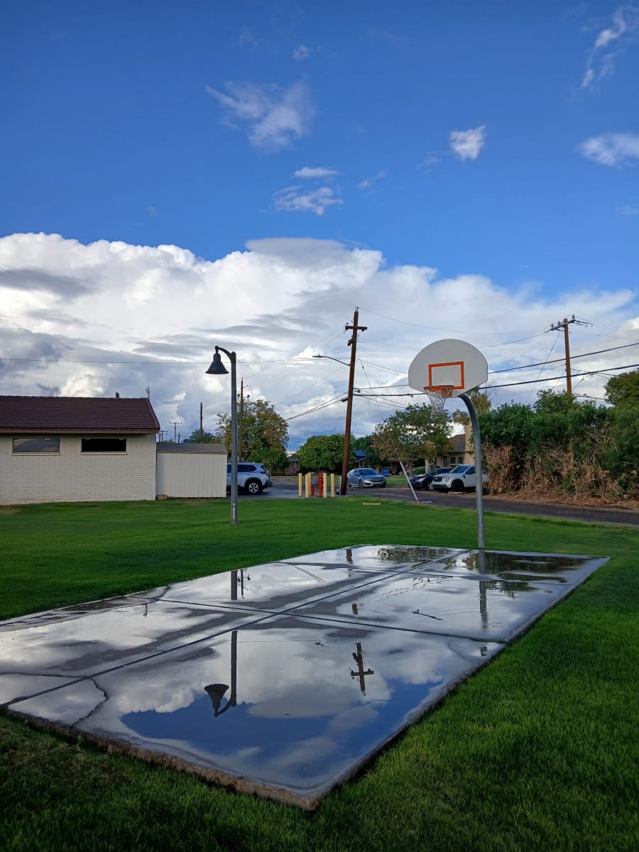 Bookmobile Verrado Stop – photo 6