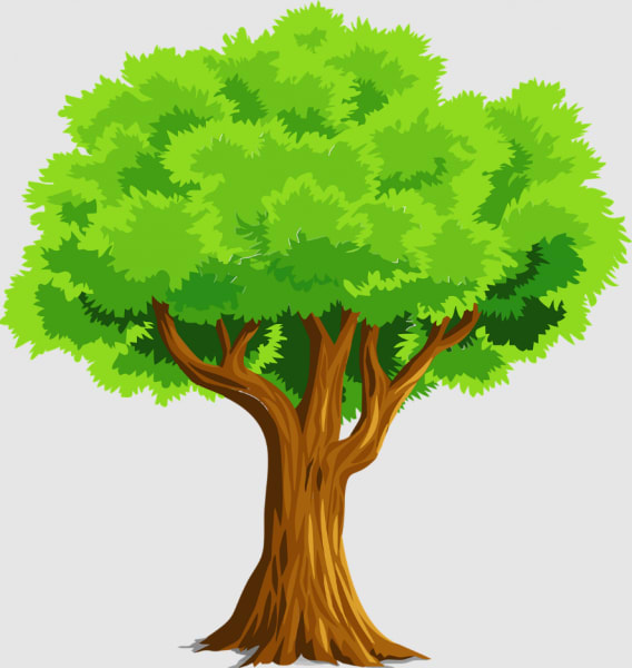 Genealogy Club – photo 1