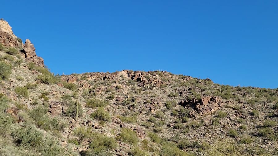 White Tank Mountain Regional Park – photo 8