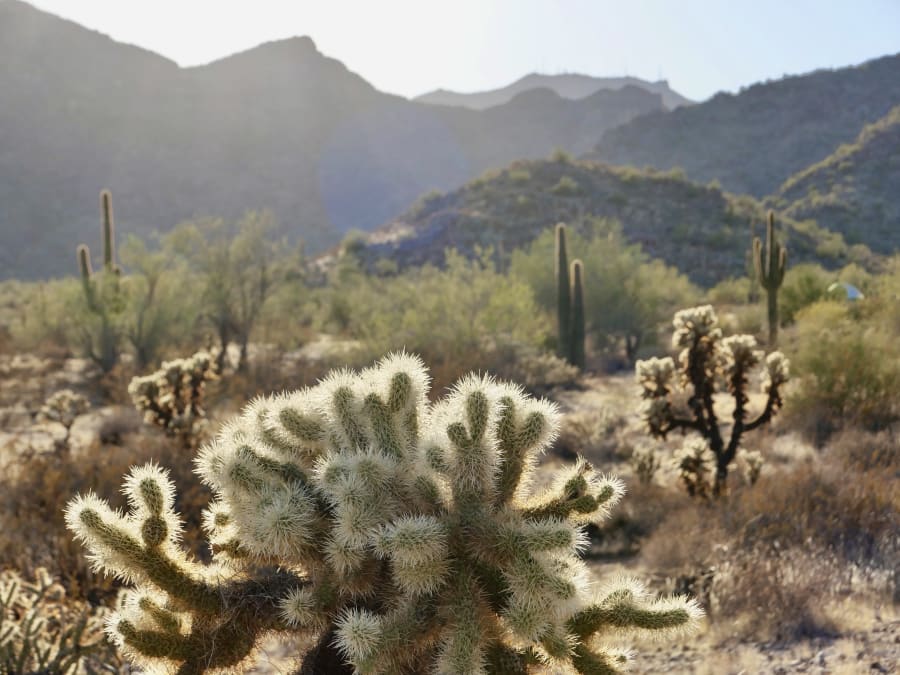 White Tank Mountain Regional Park – photo 9