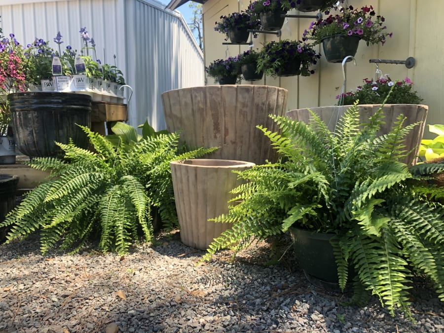 The Garden Shop on Moss – photo 1