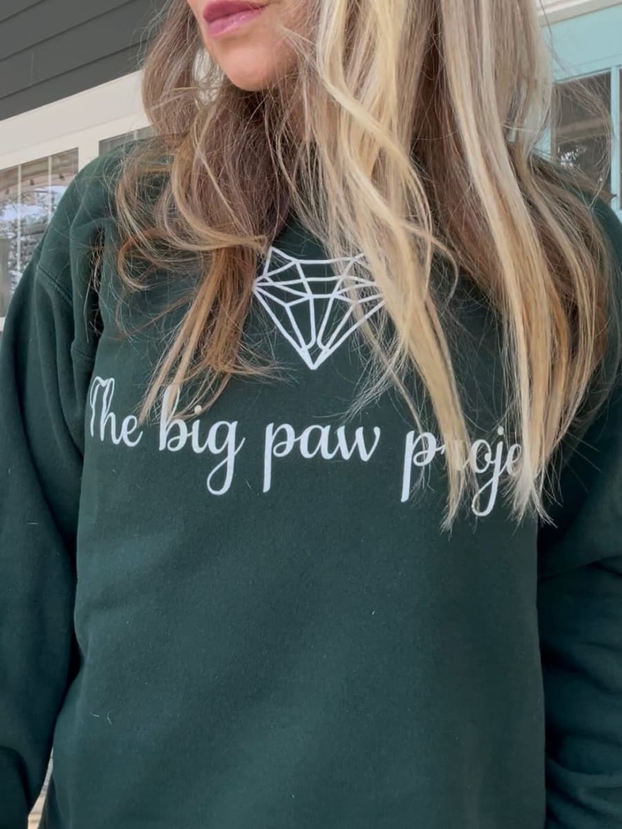 The Big Paw Project – photo 2