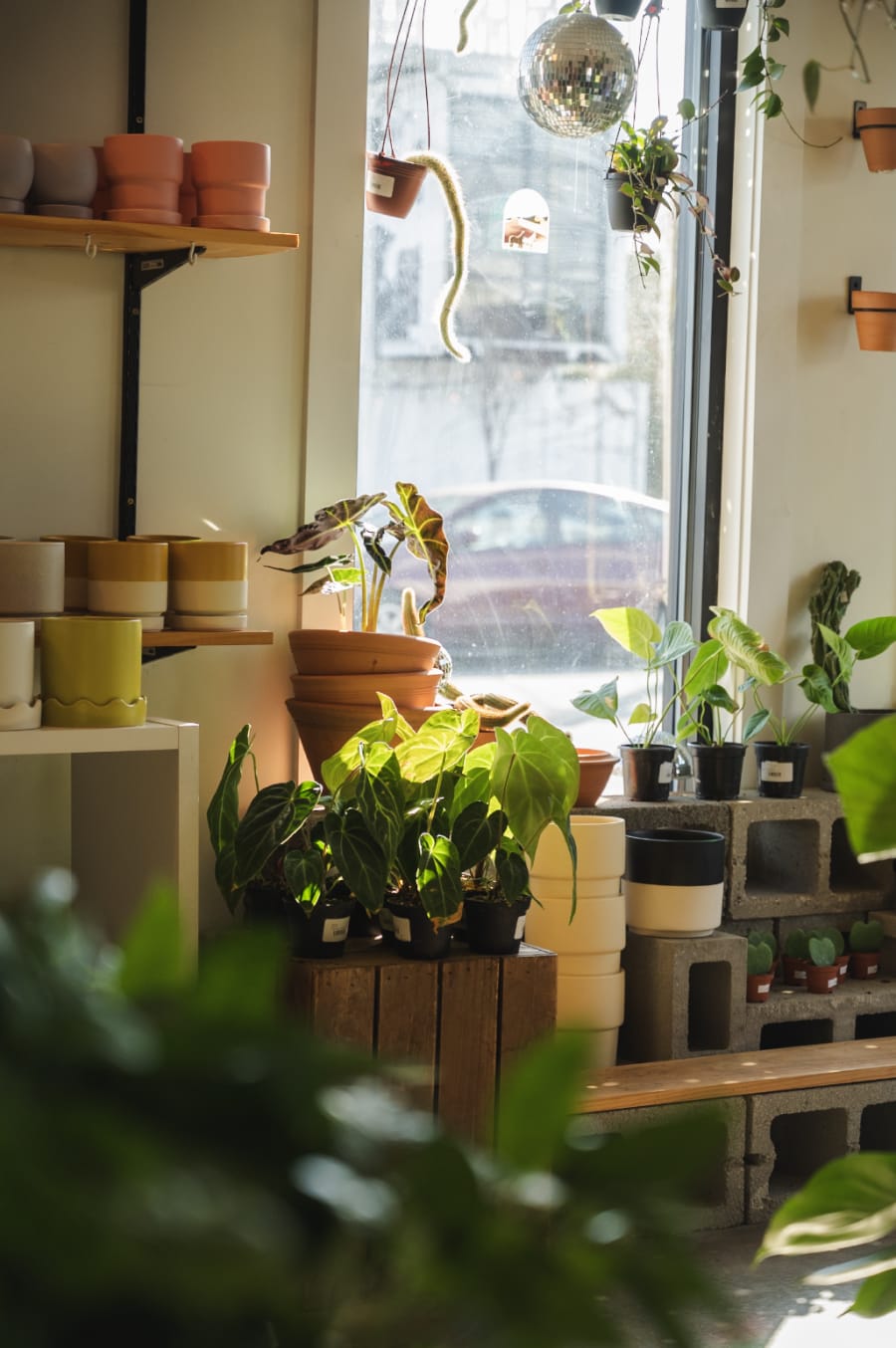 The Plant Outpost – photo 2