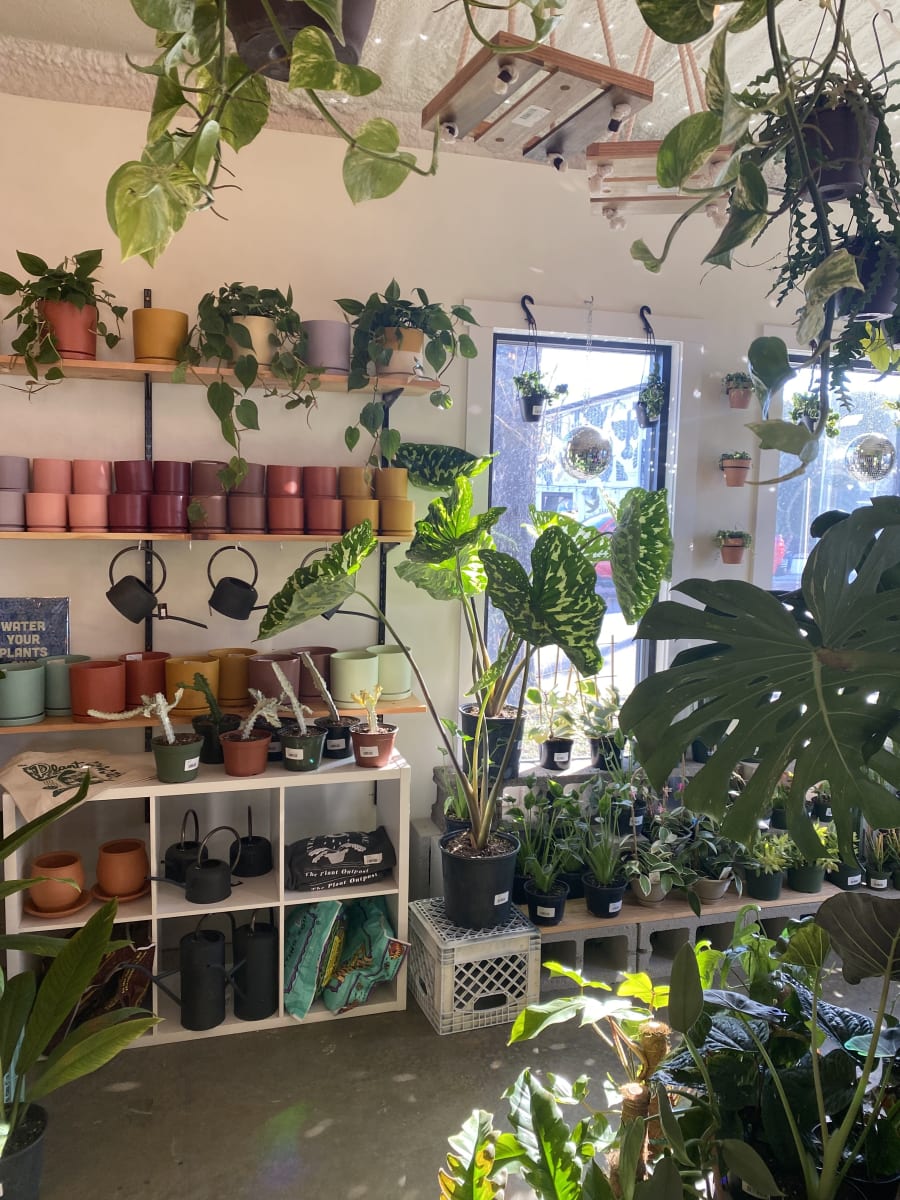 The Plant Outpost – photo 7
