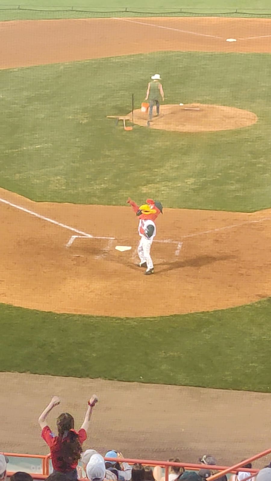 Boise Hawks Baseball – photo 8