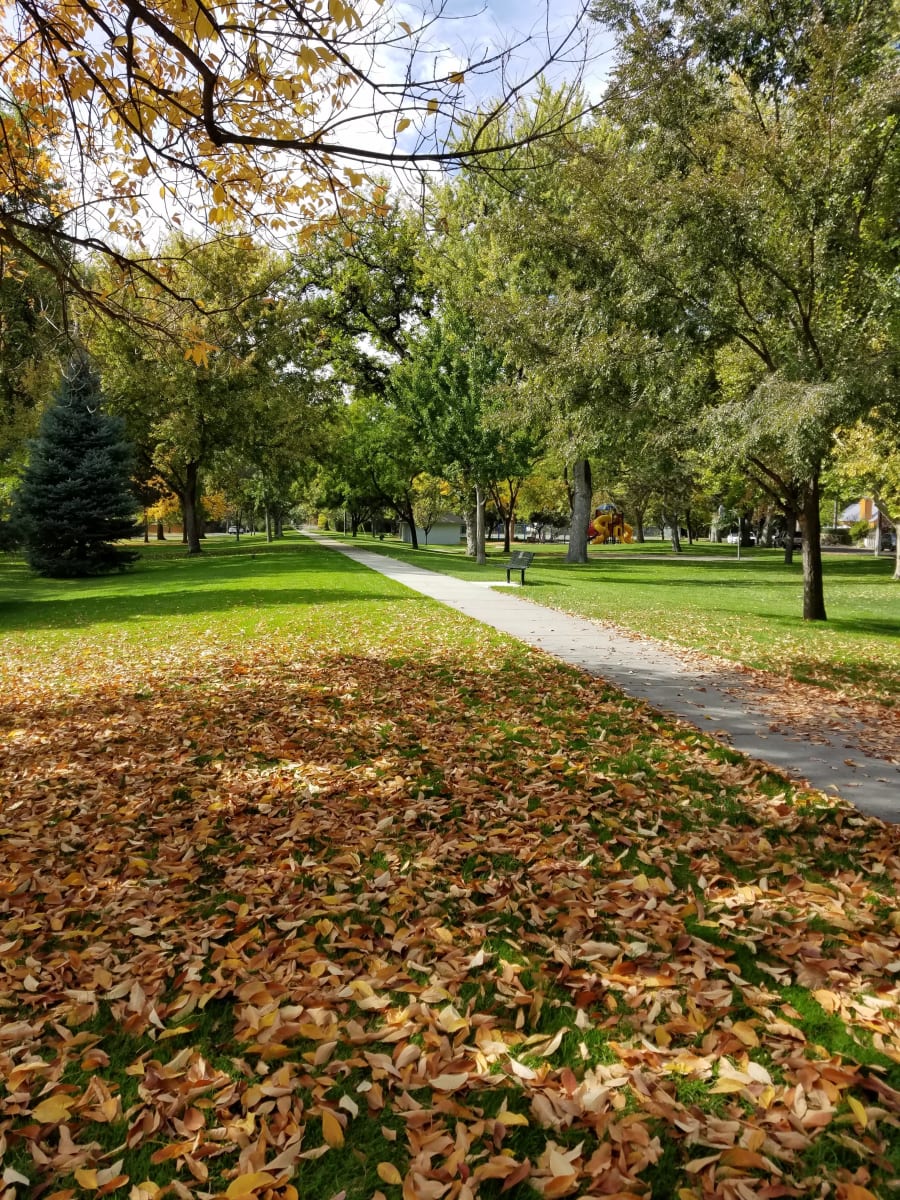 Elm Grove Park – photo 4