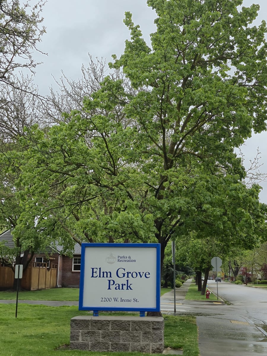 Elm Grove Park – photo 9
