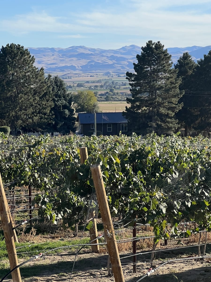 Famici Wine Co. – photo 4