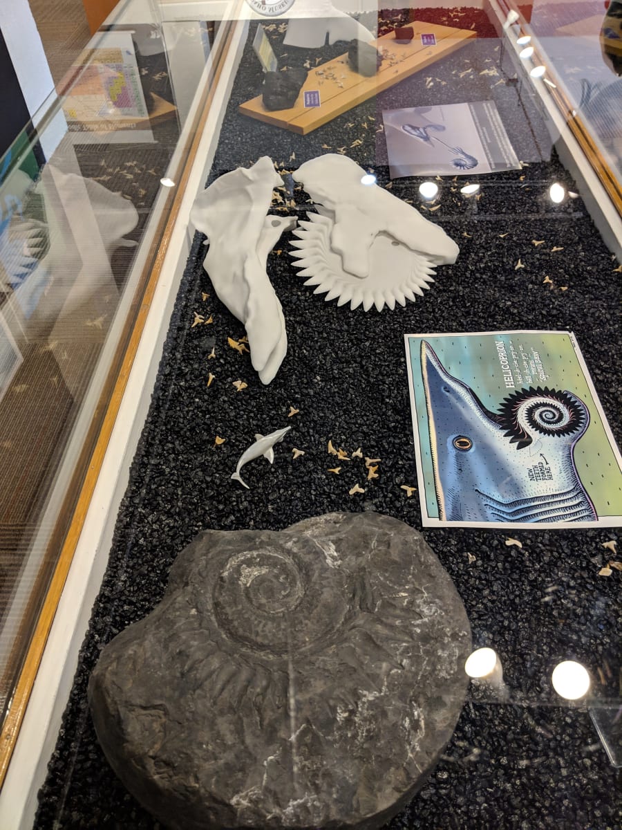Idaho Museum of Mining and Geology – photo 10