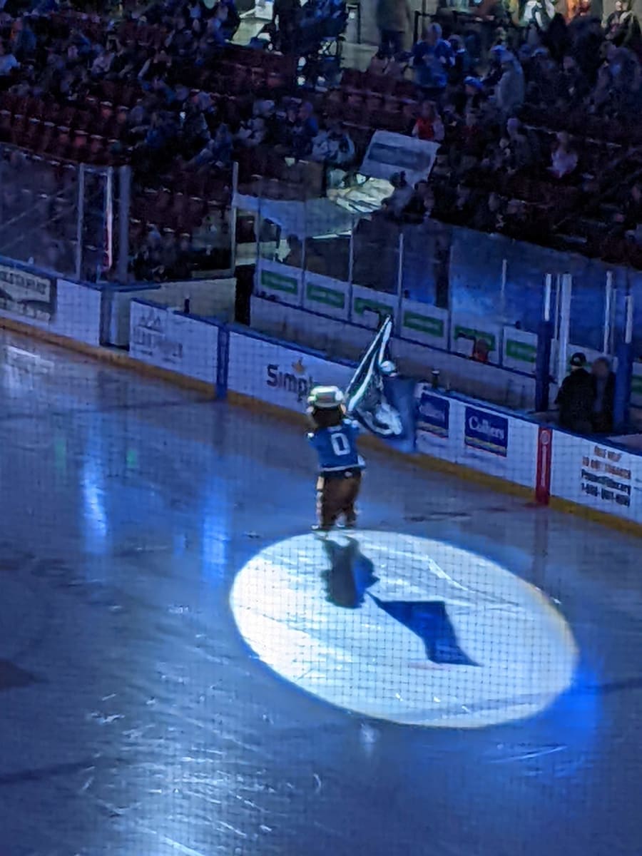 Idaho Steelheads – photo 10