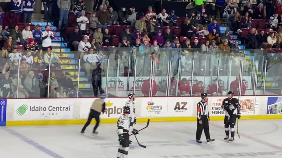 Idaho Steelheads – photo 2