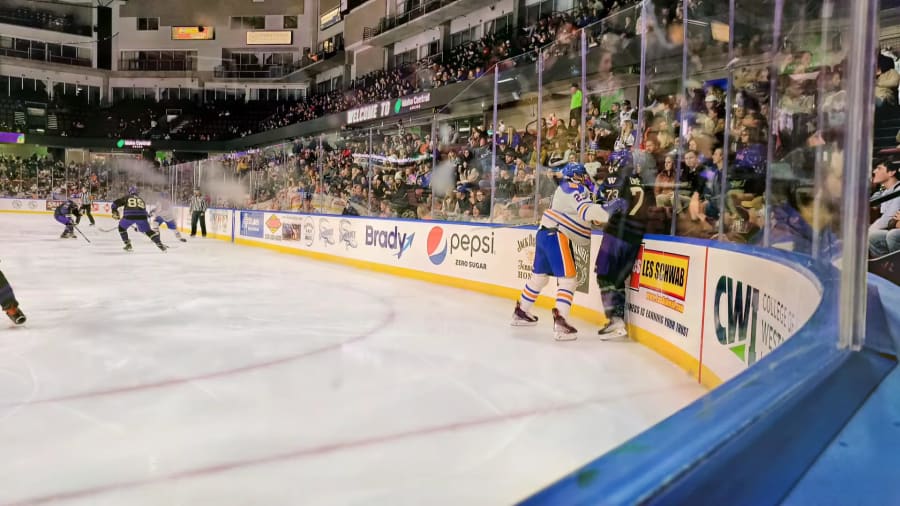 Idaho Steelheads – photo 8