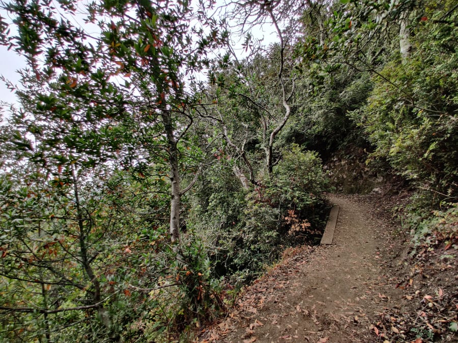 Lafayette Community Park – photo 7