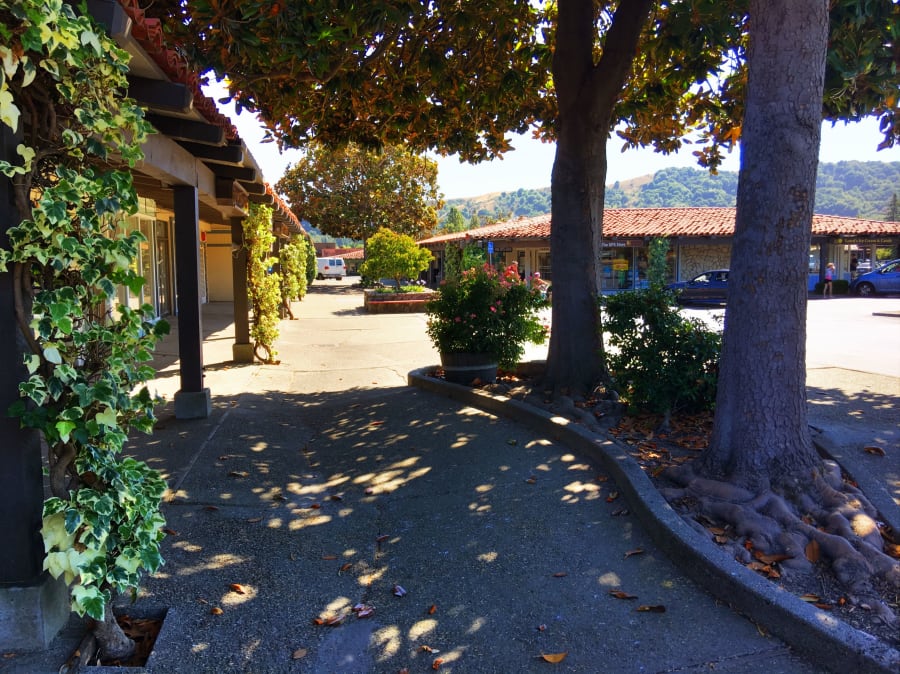 Moraga Shopping Center – photo 4