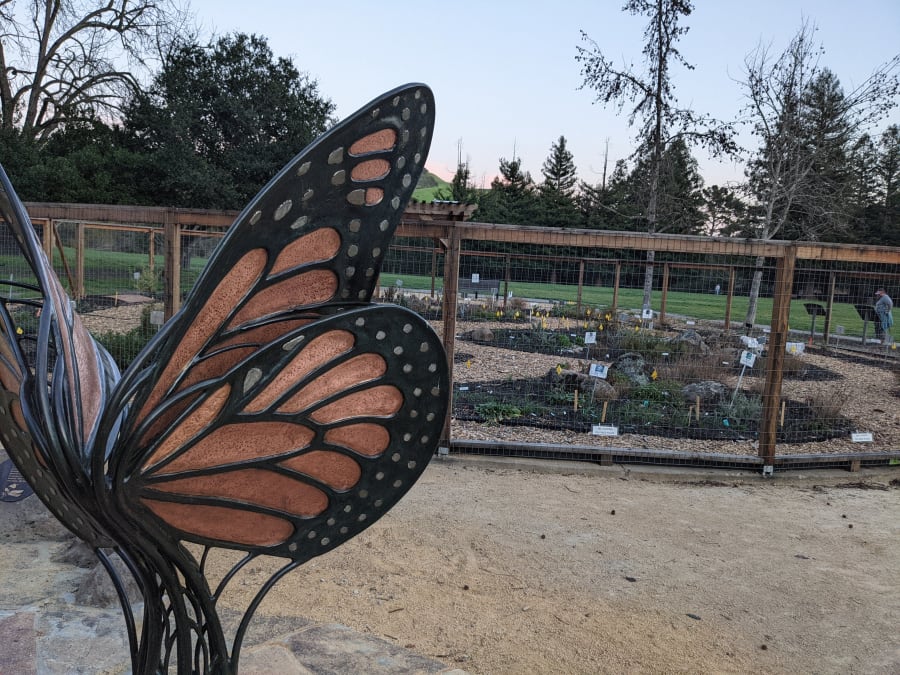Rancho Laguna Park – photo 10