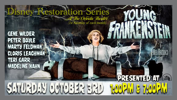 Disney Restoration Series - Young Frankenstein – photo 1