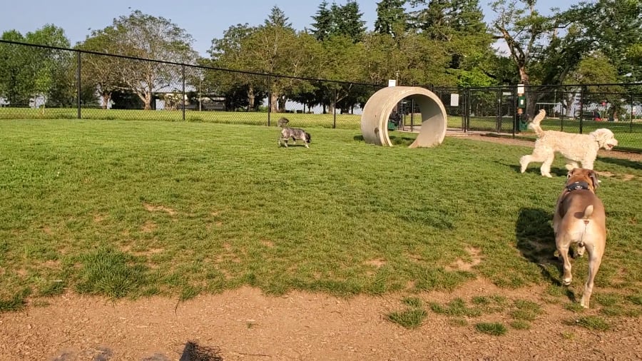 Snyder Park – photo 2