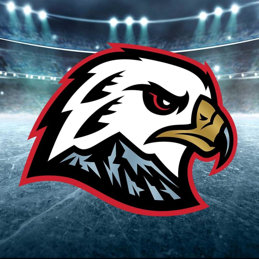 Winterhawks vs. Everett Silvertips – photo 1