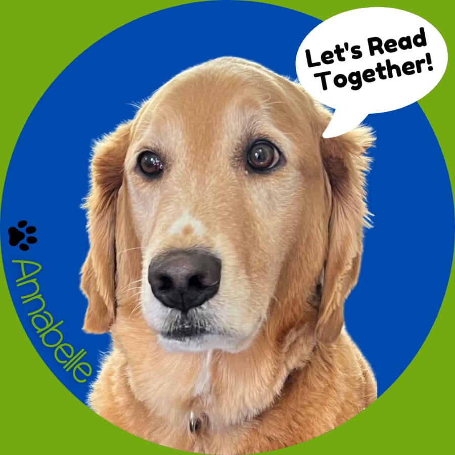 Paws4Reading with Annabelle (Golden Retriever) – photo 1