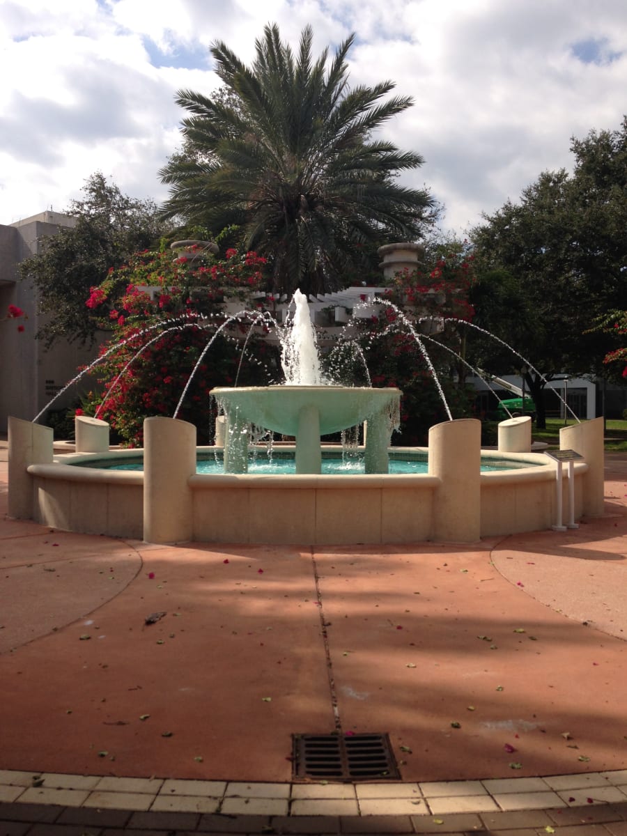 Halloween Fest at USF St. Petersburg – photo 4