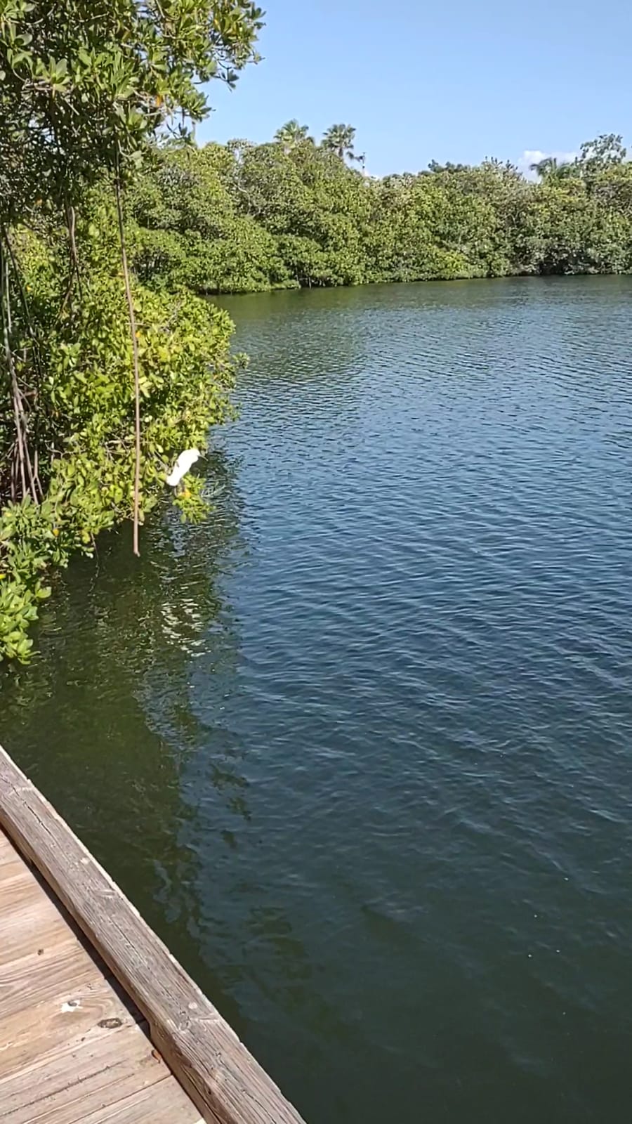 Coquina Key Park – photo 2