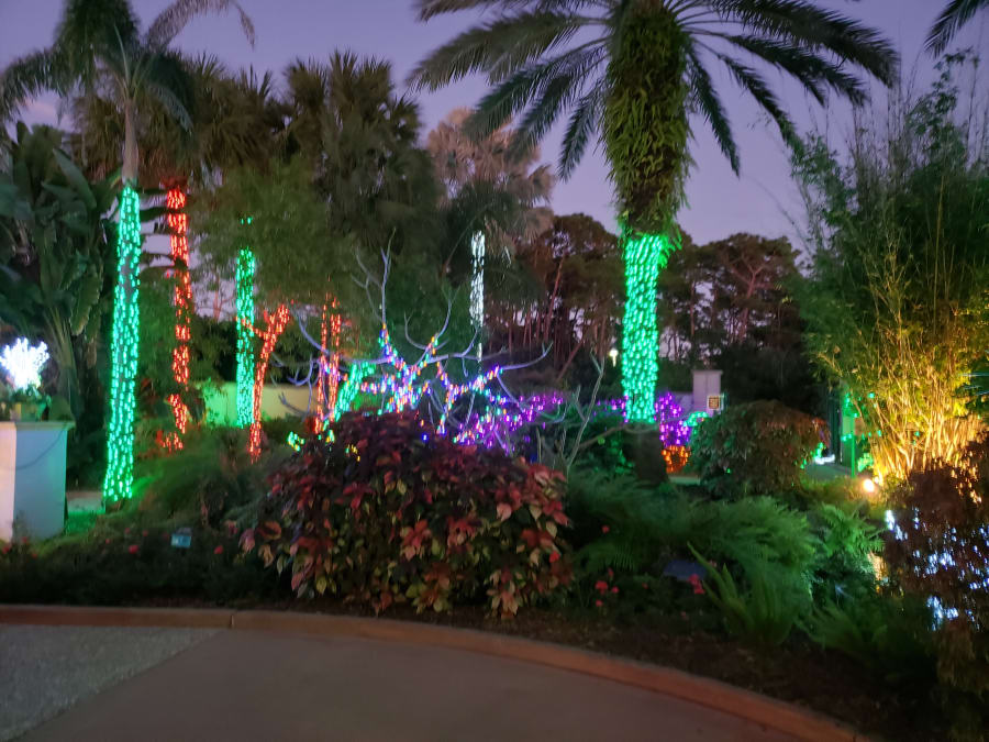 Florida Botanical Gardens – photo 3
