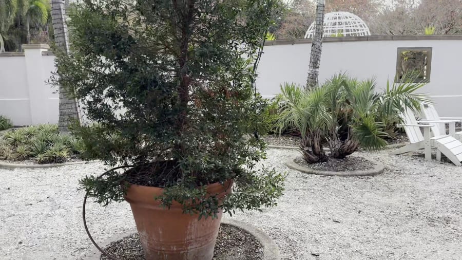 Florida Botanical Gardens – photo 2