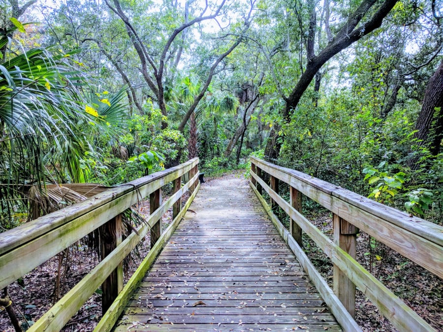 Boyd Hill Nature Preserve – photo 3