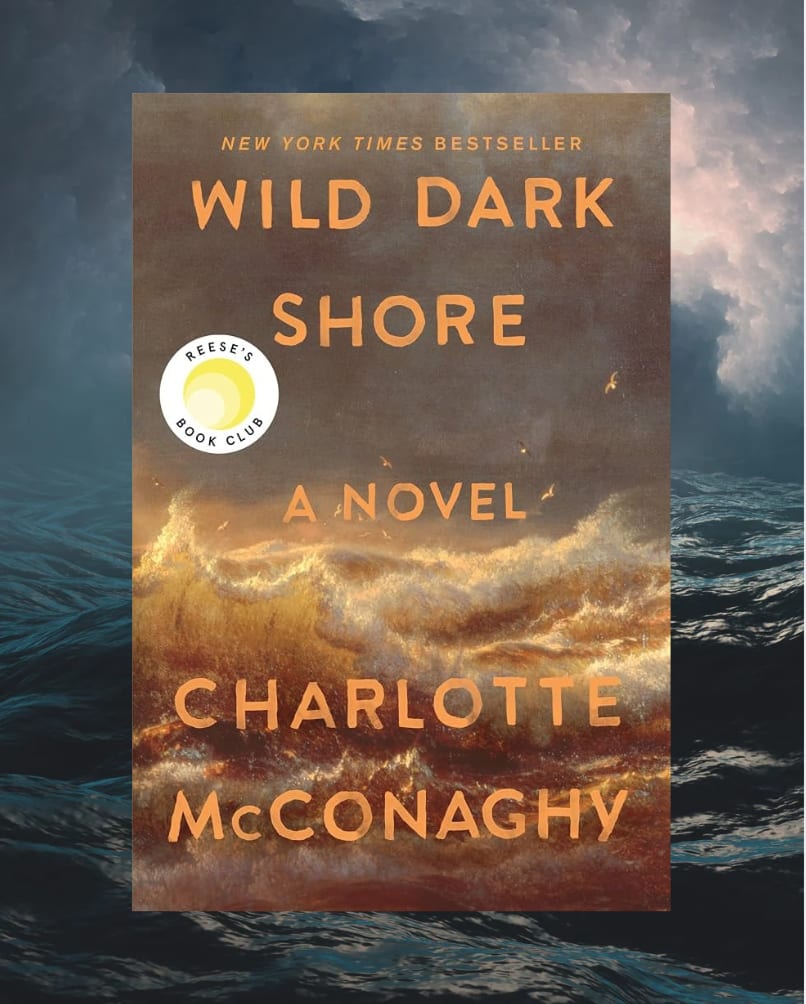Book Club: Mystery Thriller! – photo 2