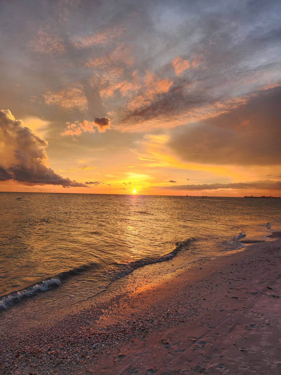 Caddy's Treasure Island – photo 9