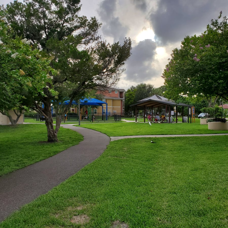 Outdoor Fitness in the Park – photo 6