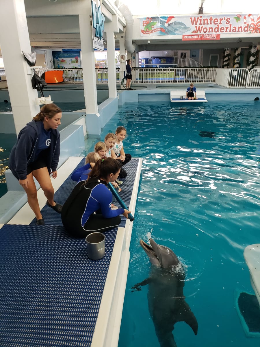 Clearwater Marine Aquarium – photo 5