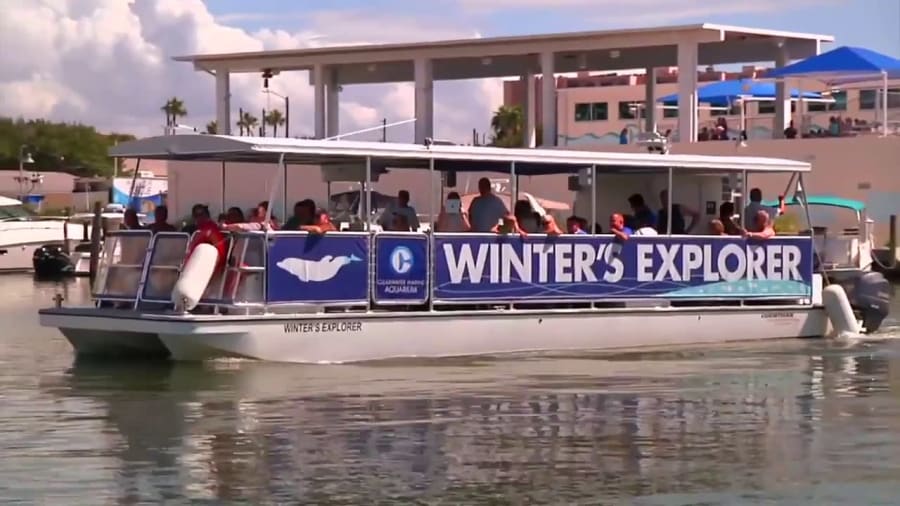 Clearwater Marine Aquarium – photo 2