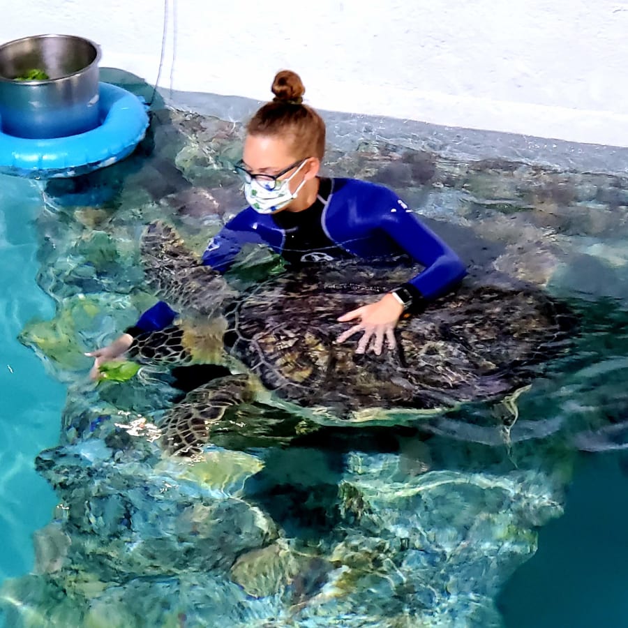Clearwater Marine Aquarium – photo 4