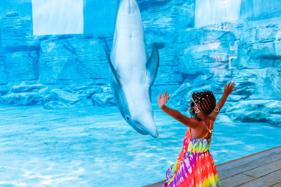 Clearwater Marine Aquarium – photo 3