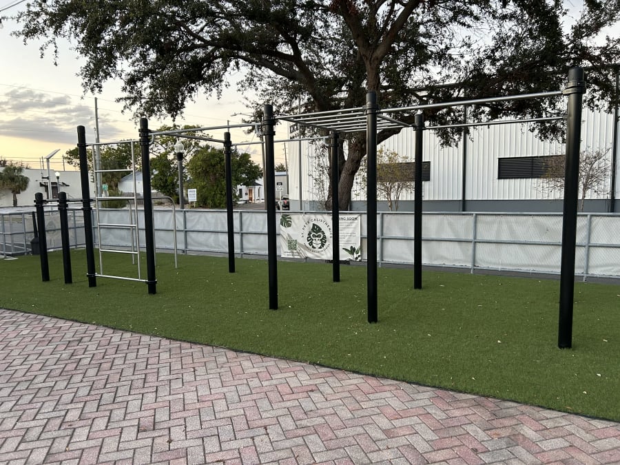 St Pete Calisthenics – photo 2