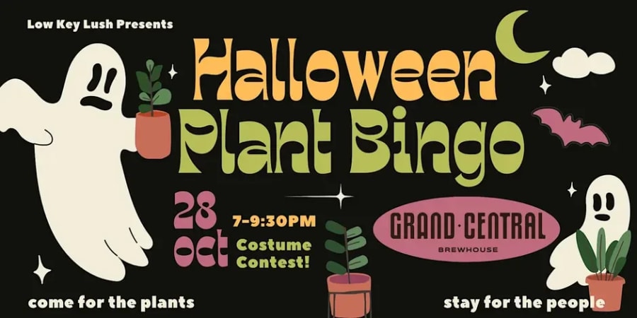 Halloween Plant Bingo – photo 1