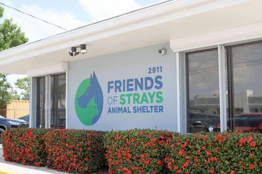 Friends of Strays Animal Shelter – photo 3